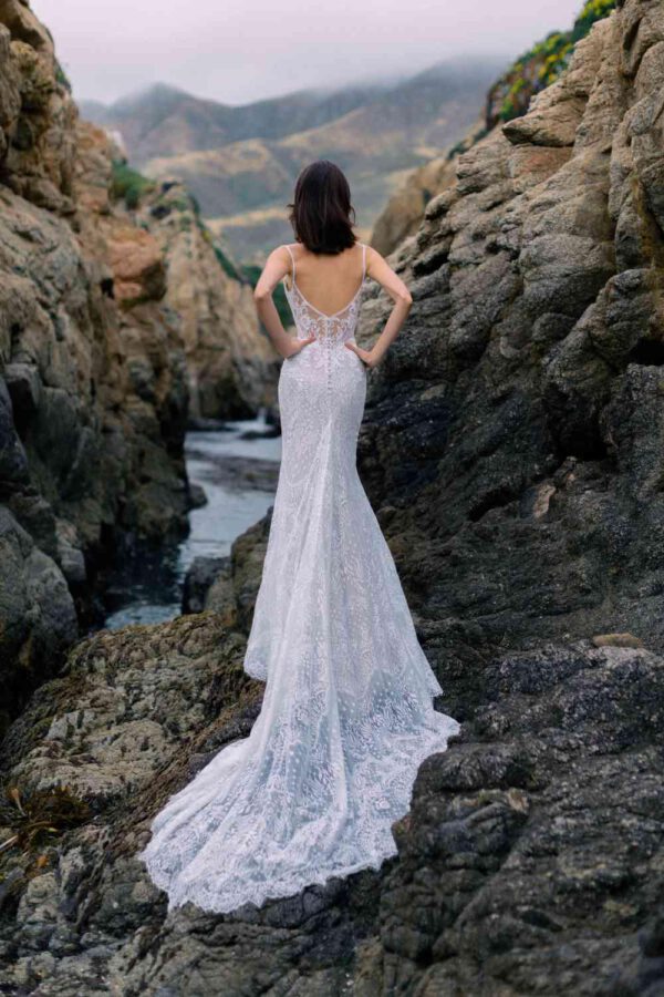 Allure Bridal - F323 - Noella, back